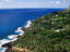 Image_336-5