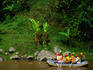 Balinese guide from Sobek Adventure Tours, taking a group out for white water rafting in Ubud.