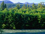 Looking across the Dosewallips River in the Olympic National Park, to the forest on the other side, in sunlight and shadows