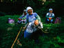 Group of caretakers gardening and laughing at base of Mt Haguro-san, one of the Dewa Sanzan (Three Mountains of Dewa).
