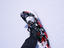 Image_3524-3