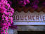 Image_3566-5