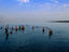 Dead Sea, Israel & Palestinian