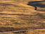 Patagonian plains, Bariloche