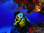 Image_3658-45