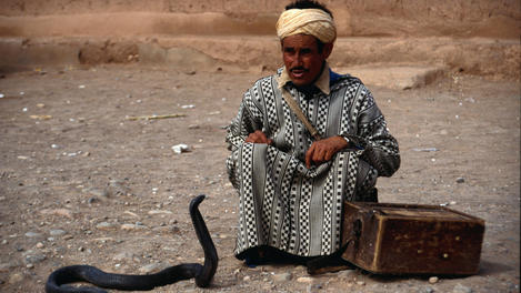 A snake charmer, Atlas Mountains
