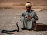 Gap Year: Julian thought he’d study geography at Sunderland Polytechnic, but that was before he discovered snake charming