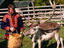 Image_368-801