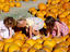 Bates Nut Farm, San Diego