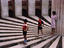 Jantar Mantar, Delhi