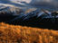 Rocky Mountain National Park, Aspen
