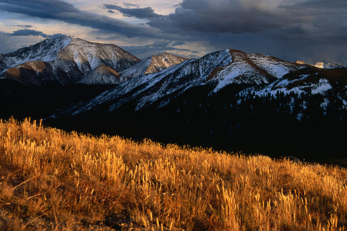 Independence Pass, Sawatch Range Rocky Mountain National Park, Aspen