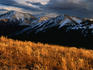 Independence Pass, Sawatch Range Rocky Mountain National Park, Aspen