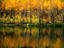 Aspen Club, Aspen