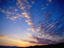 Image_3723-7