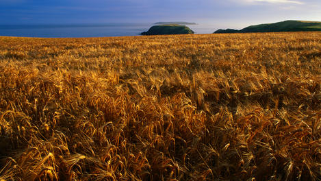 Pembrokeshire Coast National Park