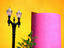 Image_3794-42