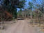 Road, Zakouma National Park and Sarh