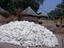 Cotton harvest, Southern Chad