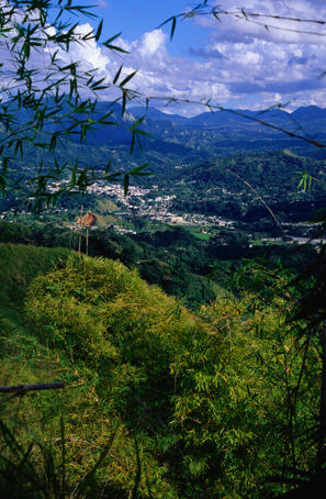 Puerto Rico's scenic drive along the Ruta Panoramica takes in the Yabucoa countryside through coffee plantations up into mountain wilderness