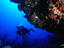 Image_3909-37