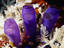 Image_3910-21