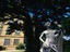 Image_3925-7