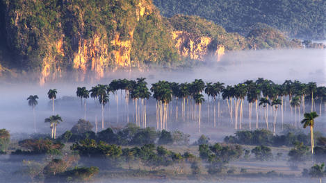 Images Of Cuba