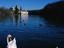 Swans with cloisters behind on the Rhine River in Rheinau.