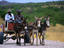 Travelling Herero couple, The Kaokoveld