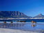racehorses on beach, Bloubergstrand