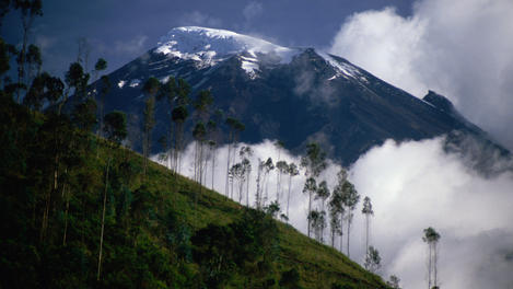 Image_3981-8