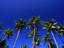Image_3982-31