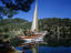 Image_3990-1