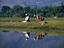Image_3993-16