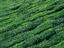 Image_3999-1