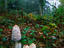 Image_4028-5