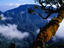 Image_4080-6