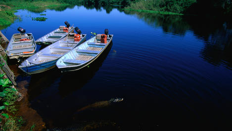 The Pantanal Image Gallery