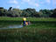 Cruising through the wetlands of the Pantanal in the traditional dug out canoe- Mato Grosso, Brazil