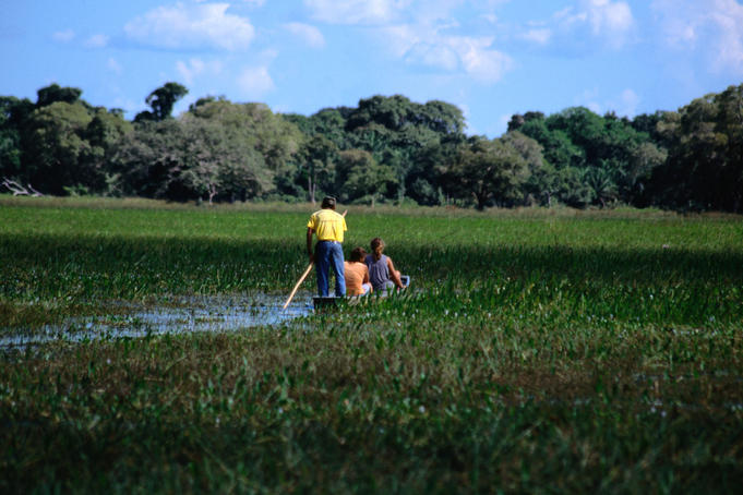 Cruising through the wetlands of the Pantanal in the traditional dug out canoe- Mato Grosso, Brazil