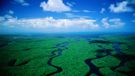 Incredible Florida westland, Florida