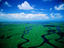 Like a big green jigsaw: aerial view of the incredible Florida wetlands