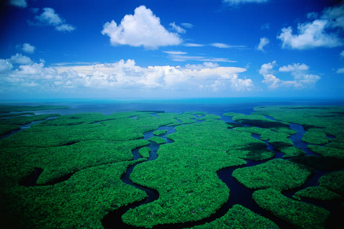 Top 5 day trips from Miami