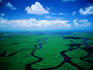 Like a big green jigsaw: aerial view of the incredible Florida wetlands