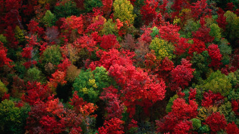 Image_4098-13