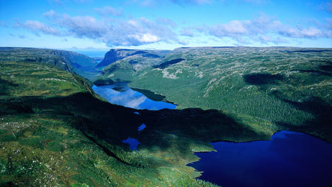Image_4100-13