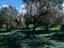 Image_4106-36