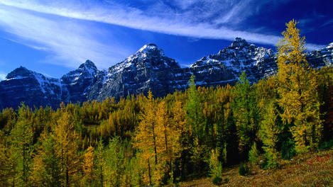 Larch Valley, Banff & Jasper National Parks