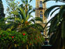 Relaxing in Tripoli's central gardens